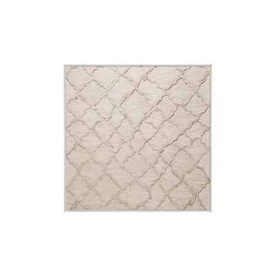 Machine Washable Beige Area Rug