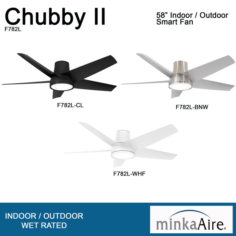 58'' 5 - Blade Outdoor LED Smart Standard Ceiling Fan with Remote Control and Light Kit Included, Coal