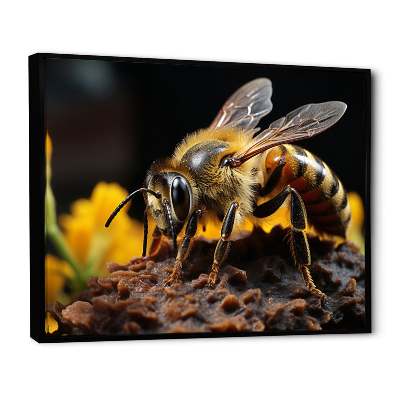 " Bee Portrait I ", Black Picture Framed, 30" H x 40" W x 1.5" D