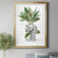 Evergreen - Impression de cadre photo sur papier-652865758-652865697
