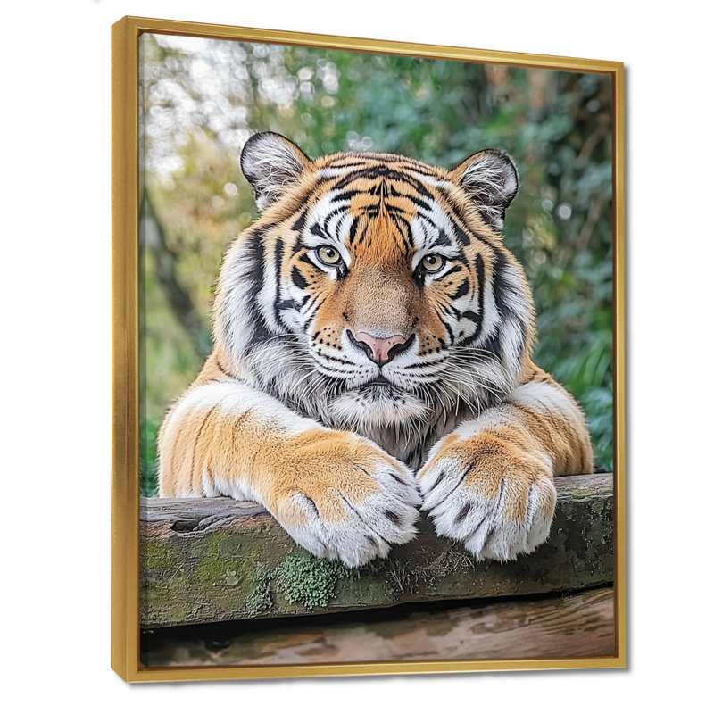 Tiger Portrait - Tiger Wall Décor, Floater Framed Print, 20" H x 12" W, Gold