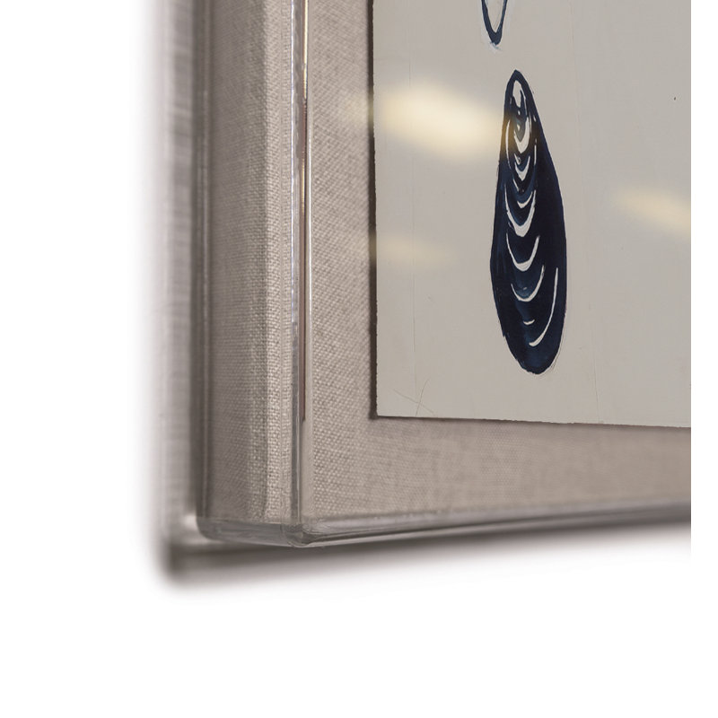 Paule Marrot " Shell 2 " by Paule Marrot, 56" H x 44" W x 1.25" D, Acrylic Box