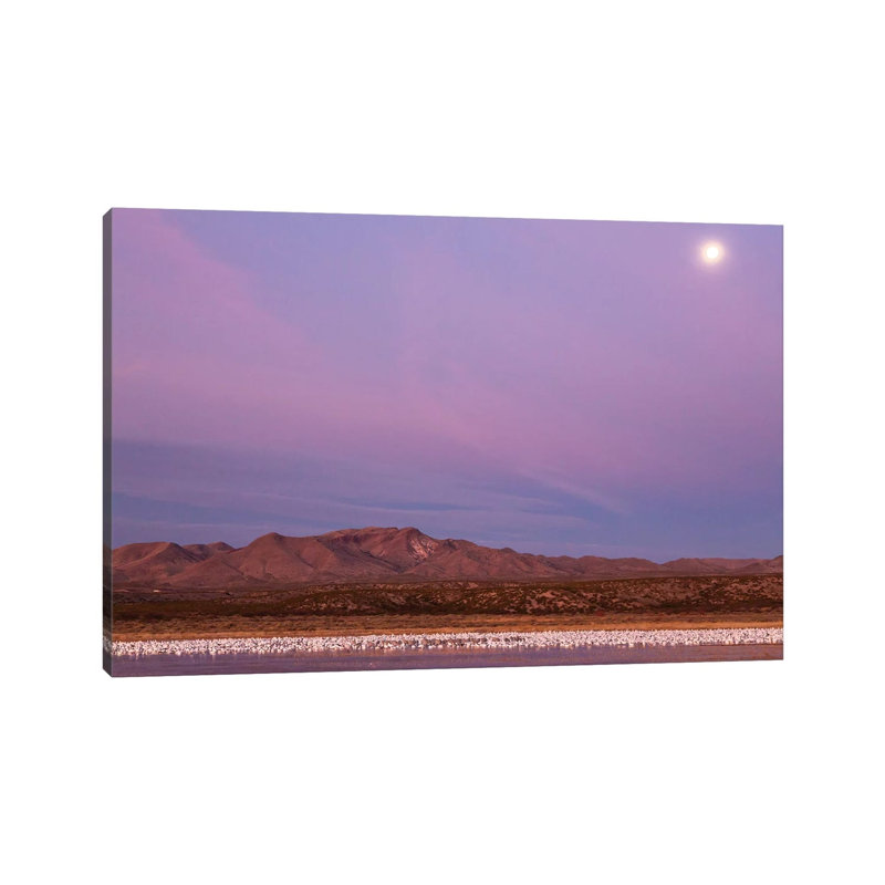 USA, New Mexico, Bosque Del Apache National Wildlife Refuge. Flying Birds And Full Moon At Sunrise. by Jaynes Gallery - Wrapped Canvas Print