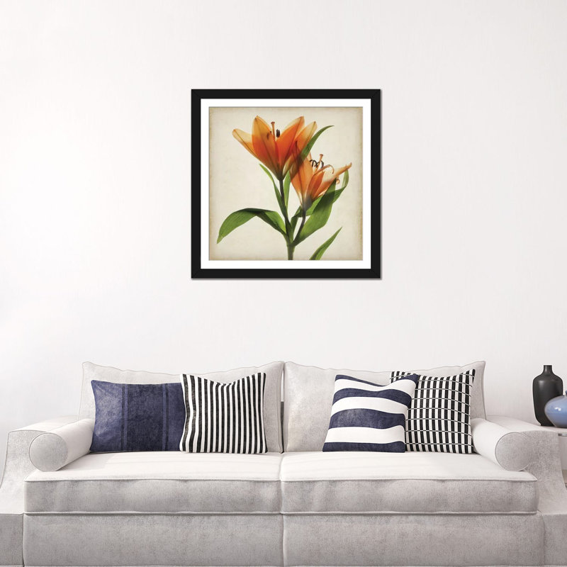 «Parchment Flowers X», impression sur toile, H 16 po x l 16 po x P 1 po, Papier d'art encadré noir, Blanc