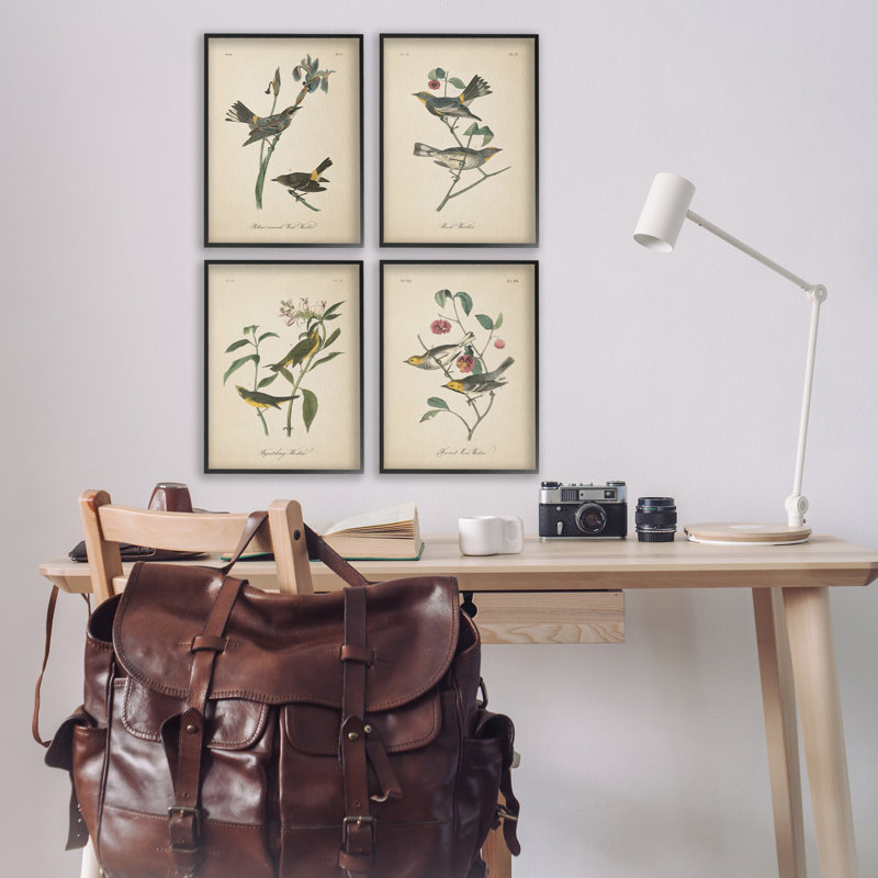  «Vintage Study Birds & Plants», ensemble de 4 giclées par Wild Apple, H 18 po x l 12 po, Giclée encadrée noir minuit