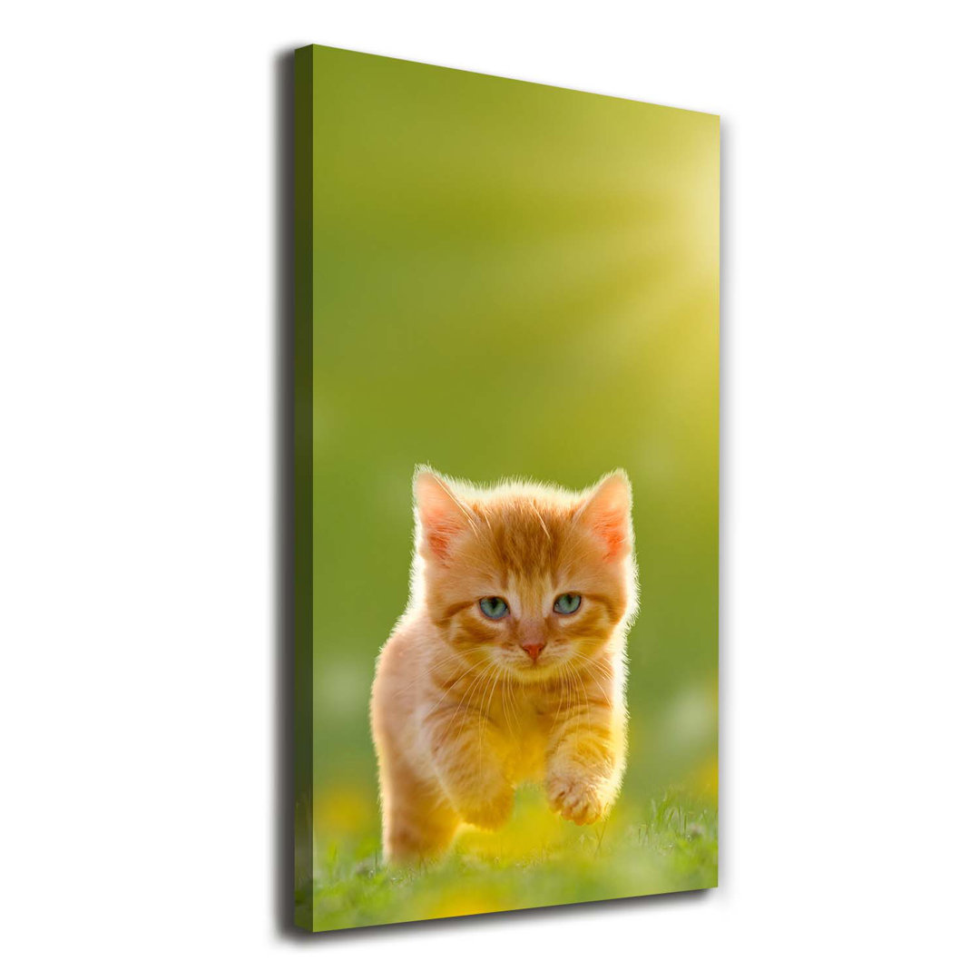 Rote Katze - Wrapped Canvas Kunstdruck