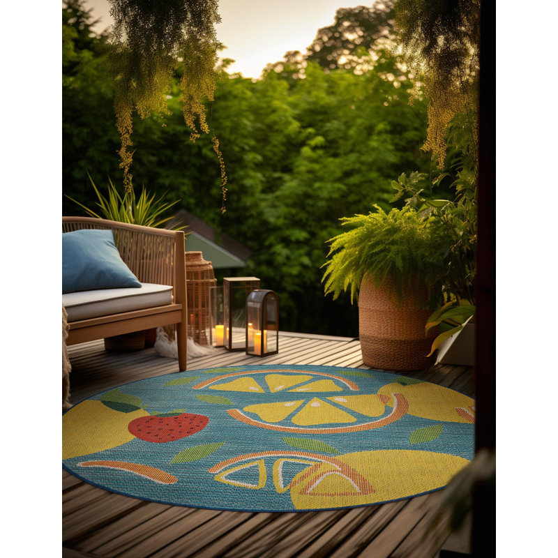 Indoor / Outdoor Rug, Round 10'