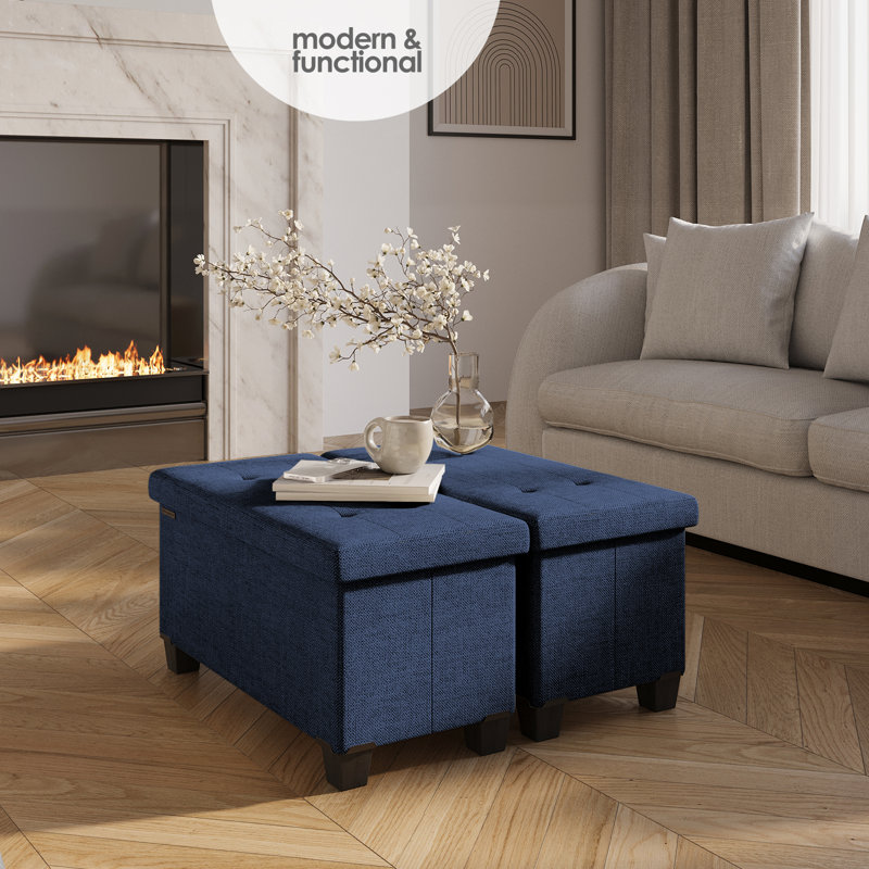 Banc de rangement avec repose-pieds Vérrant, H 15 po x l 30 po x P 15 po, Blue