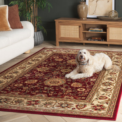 Tapis oriental Klose Performance