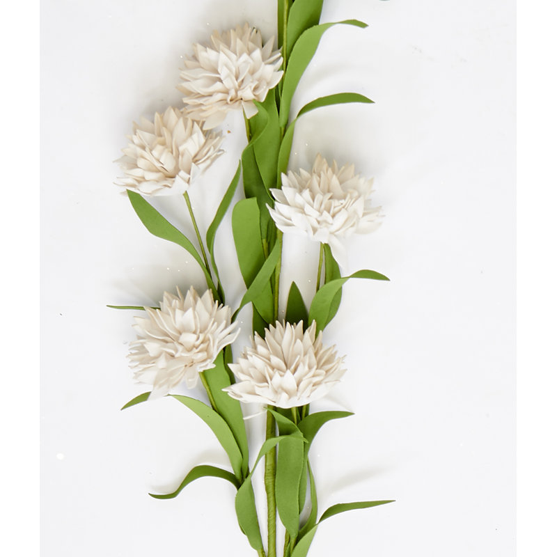 Vaporisateur de souci artificiel, Blanc
