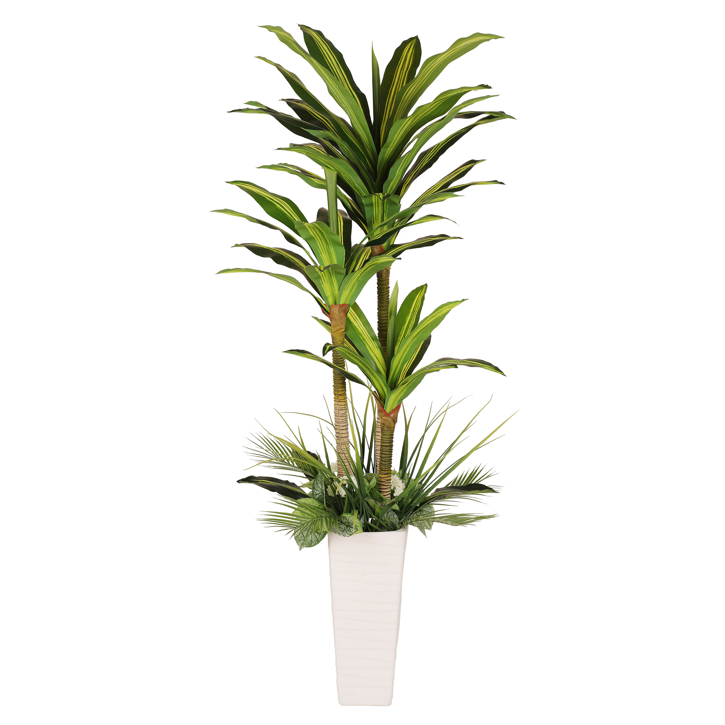 Primrue 72'' Plant | Wayfair