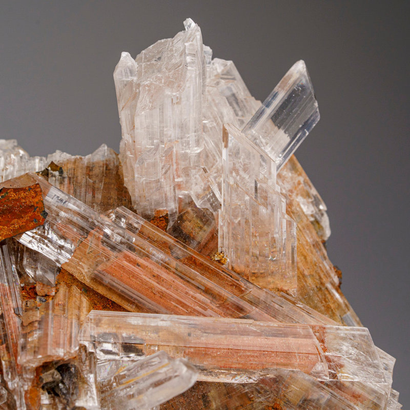Gypse Var. Sélénite de Caverna de Saint-Domingue, Achiles Serdan, Chihuahua, Mexique