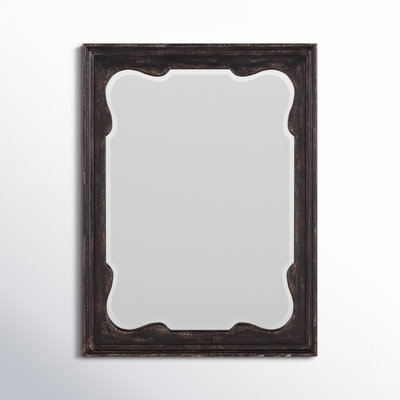 Alcy Rectangle Accent Mirror