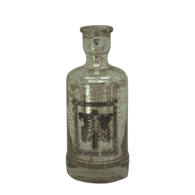 Cage thoracique Santeria bottles