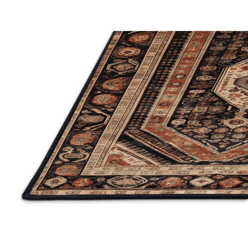Machine Washable Turkish Brown Area Rug, Rectangle 2' x 3'
