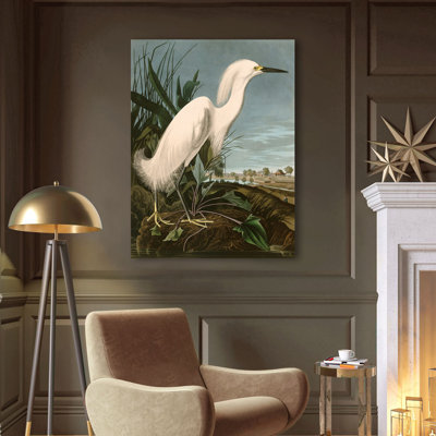 Snowy Heron Or White Egret by John Audubon - Wrapped Canvas Painting