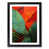 Black Framed selected