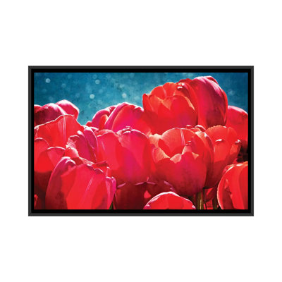 «Fuchsia Tulips II», reproduction de photo sur toile