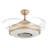 Anniah Ceiling Fan with LED Lights