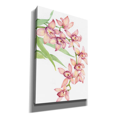Exotic Flowers III " Exotic Flowers III " by Timothy O' Toole Painting Print