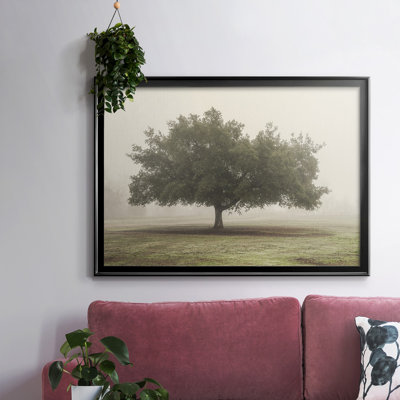 " Trees In The Fog II "