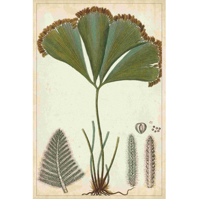 " Foliage Botanique I " by Turpin