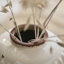 Ceramic Pot Planter