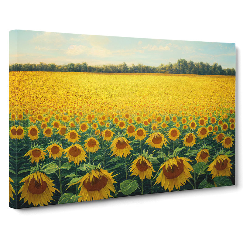 Traditional Sunflower Field - Wrapped Canvas, 35cm H x 50cm W x 3cm D