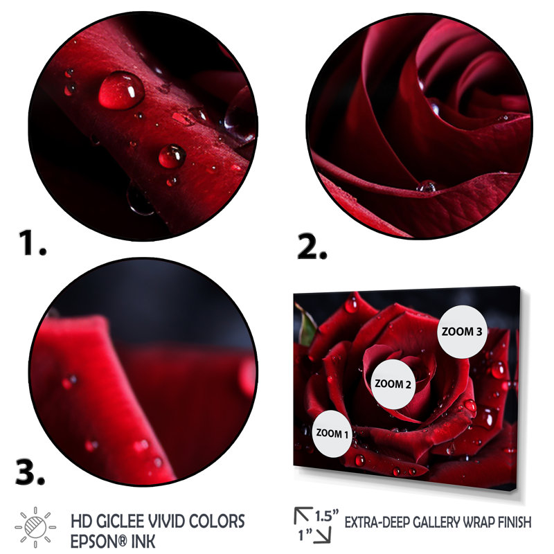 Rose rouge avec gouttes de pluie I - art mural floral encadré, H 12 po x l 20 po x P 1 po, Brown Floater Framed