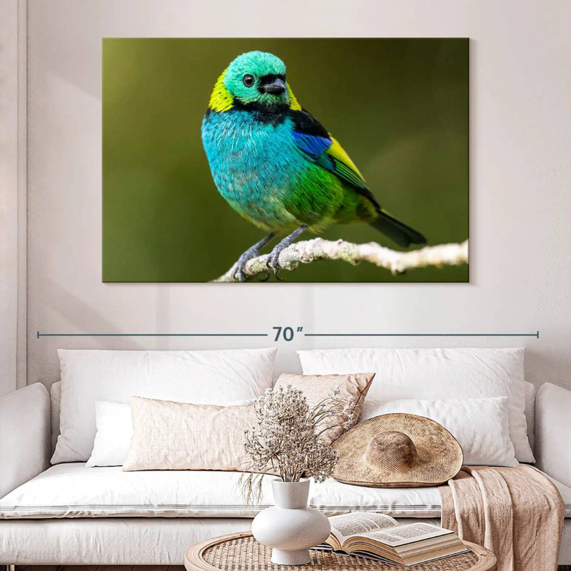 Brampt Green Headed Tanager, 34" H x 51" W