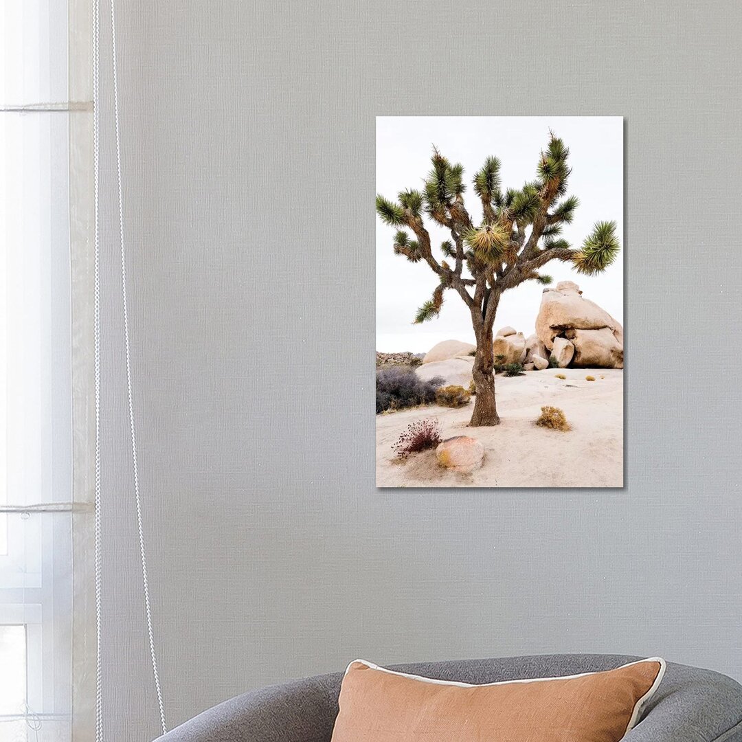 Joshua Tree National Park III von Susanne Kremer - Galerie-verpackte Leinwand Giclée