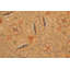 Tapis oriental brun clair / vert en laine noué à la main 8 pi 10 po x 10 pi 1 po Baccio