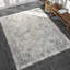 Tapis oriental gris en coton Peton-1299000677