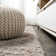 Anttwan Solid Shag Beige Rug