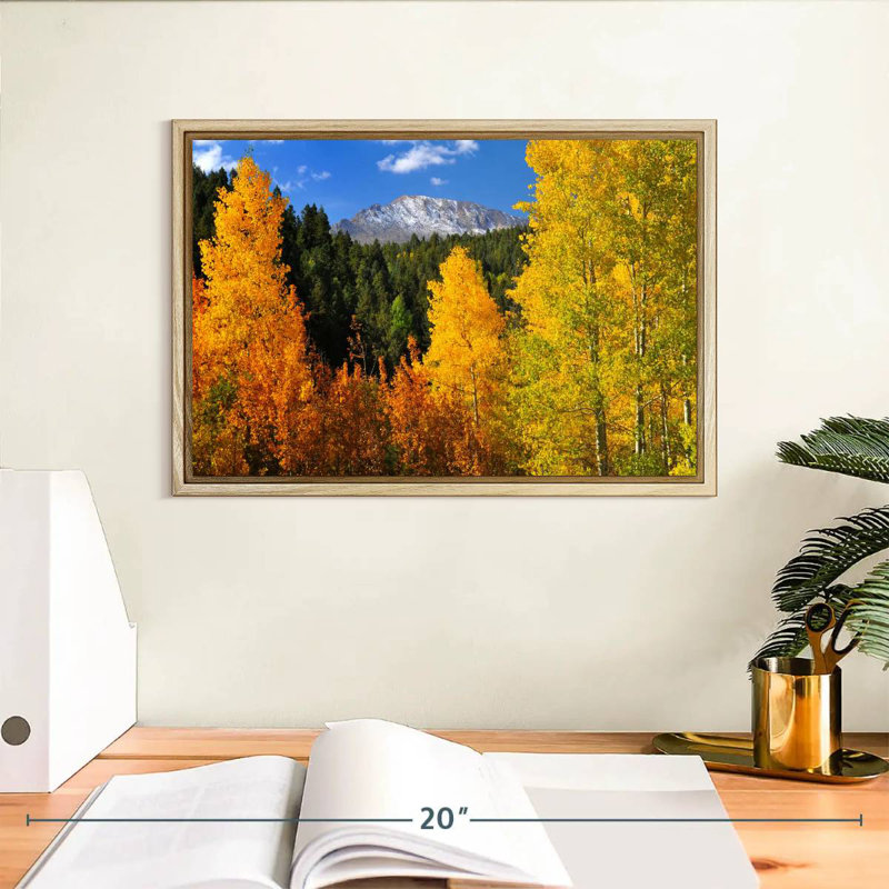Pikes Peak en automne, 13 po x 9 po, Cadre flottant en bois naturel