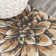 Jahnaya Modern Botanical Flower Blue/Orange/Cream Rug