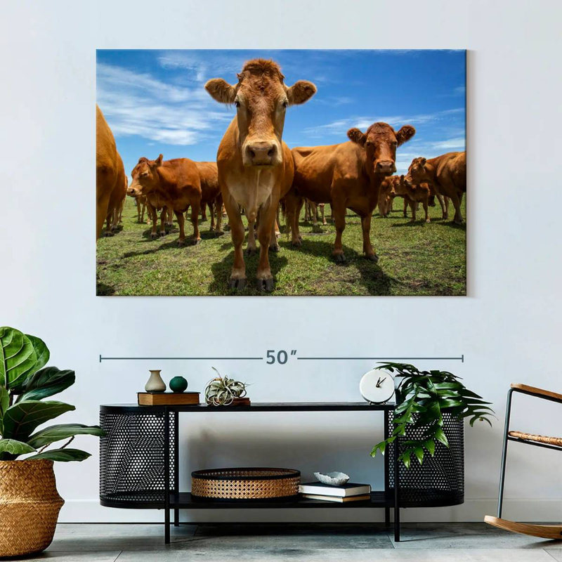 Crowle Gathering Beef Cattle, 34" H x 51" W