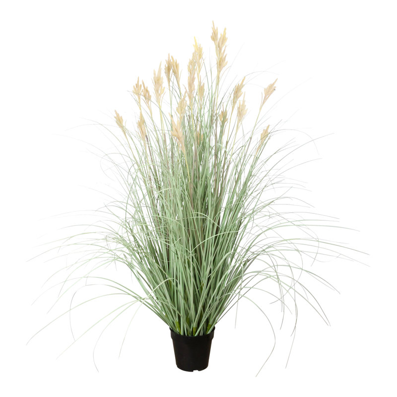 Mini Cattail Drop-In Plant