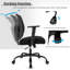 Burgeo Mesh Task Chair