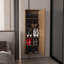 Range-chaussures mural avec miroir et porte, cinq tablettes, rangement compact pour dix paires de chaussures-272271296