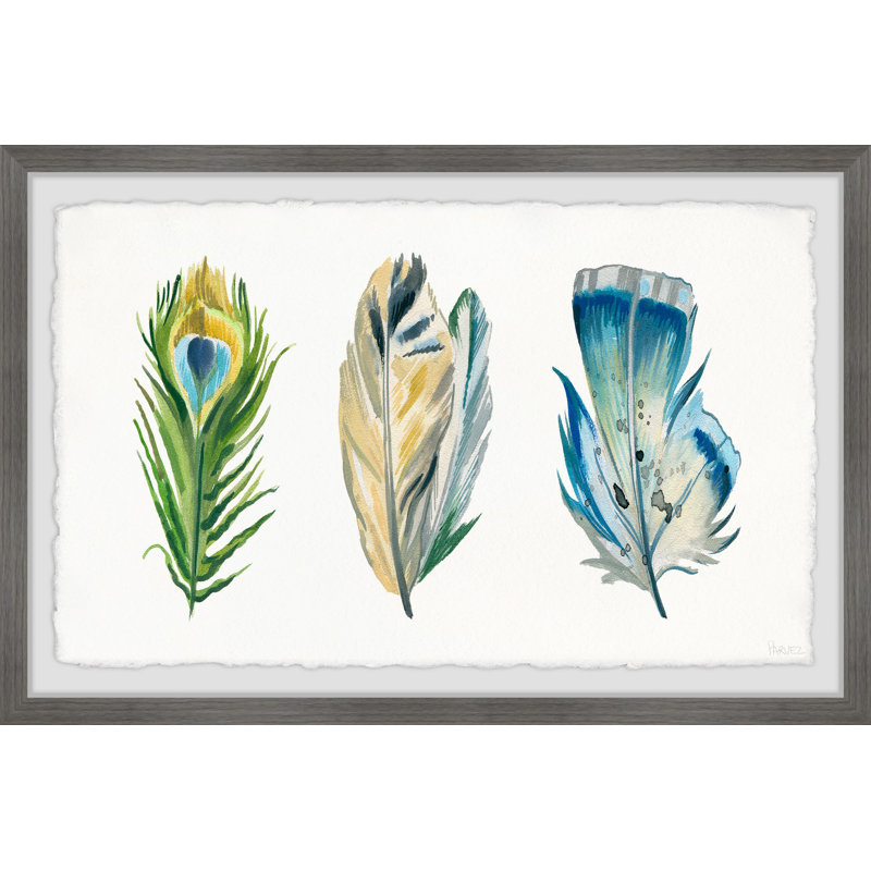 Tropical Feathers by Parvez Taj - Single Picture Frame Painting, 20 cm H x 30 cm W