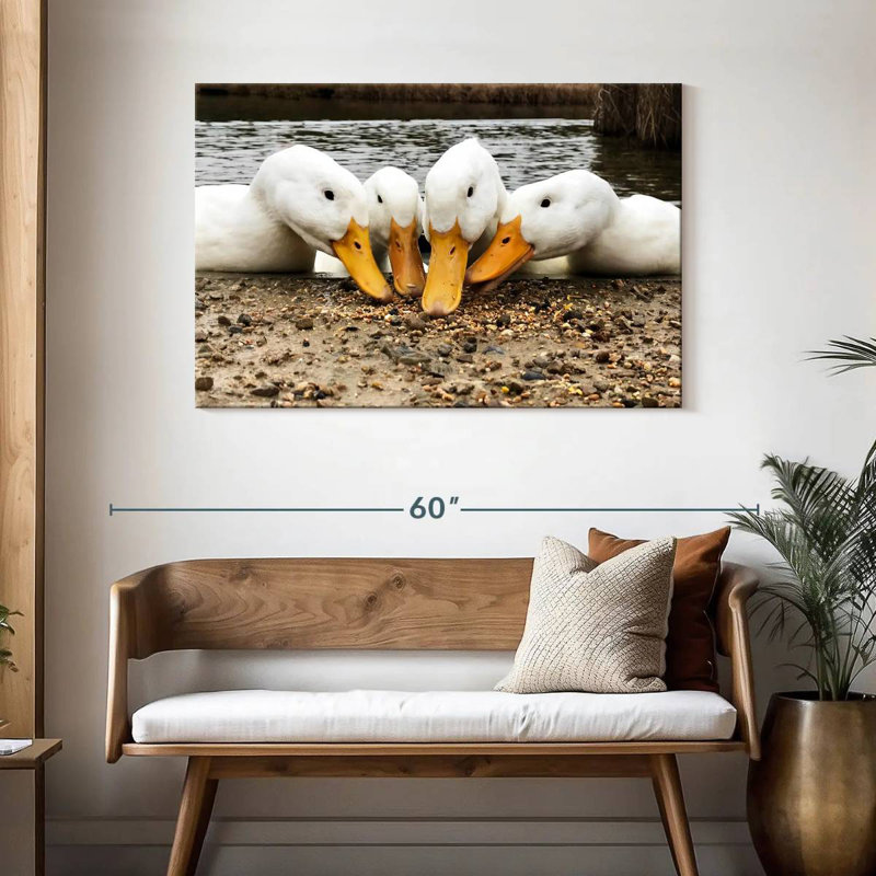 Pekin Ducks de Brampt, H 30 po x l 45 po