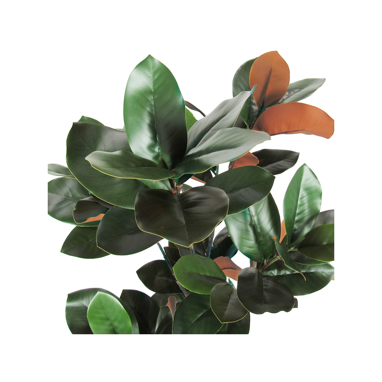 Faux Magnolia Plant in Pot, 48" H x 25" W x 25" D