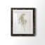 Farmhouse Pressed Flower I - peinture encadrée-1383879489-1383879518