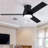 Jazyon 48'' Ceiling Fan with Light Kit-483904214