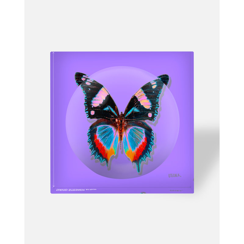 Amethyst Flutter