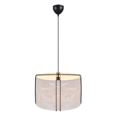1 - Light Novelty Pendant