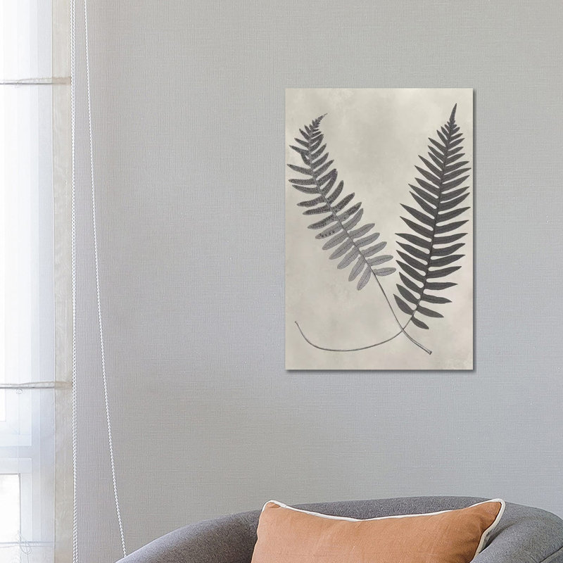 Vintage Fern Study III by Vision Studio - Wrapped Canvas Gallery-Wrapped Canvas Giclée, 66.04 cm H x 45.72 cm W