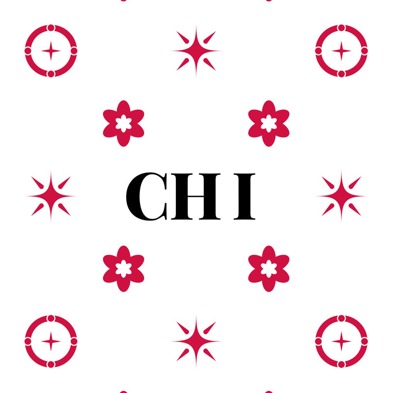 Coussin en coton croisé 20 pouces x 14 pouces Chicago Basketball, Noir / rose / blanc