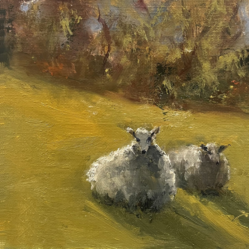 «Avalena Sheep In Field V» sur toile par Marilyn Wendling, L 12 po x H 12 po